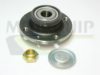 PSA 374846 Wheel Bearing Kit